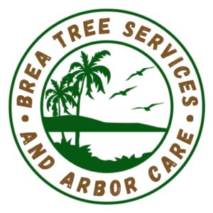 BREA Tree Services 300x300