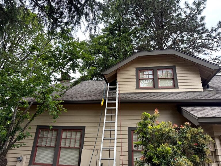 Roof Moss Removal Clean Salem Oregon 768x576