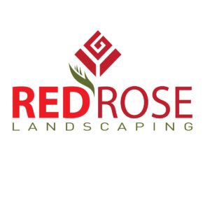 Logo 8 18 300x300