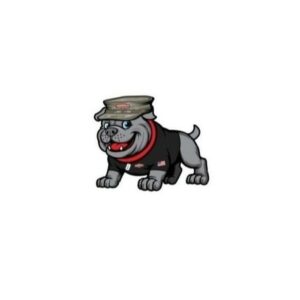 Semper Fi Heating and Cooling Logo 300x300