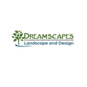 Dreamscapes Landscape 300x300