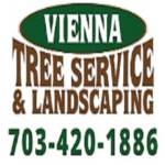 Profile photo of Vienna Tree Service & Landscaping