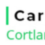 Profile photo of Rug & Carpet Cleaning Service Cortlandt