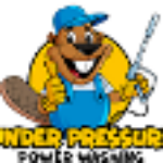 Profile photo of Under Pressure