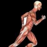 Picture of qckinetixocala71