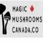 Picture of Magic Mushroom Canada Canada