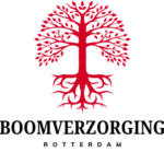 Picture of Boomverzorging Rotterdam