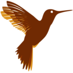 Profile photo of Freedom Software Solutions Pvt Ltd