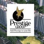 Profile photo of Prestige Evaregreen