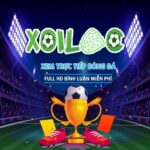 Profile photo of Kenh Xoilac TV