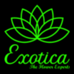 Profile photo of Exotica